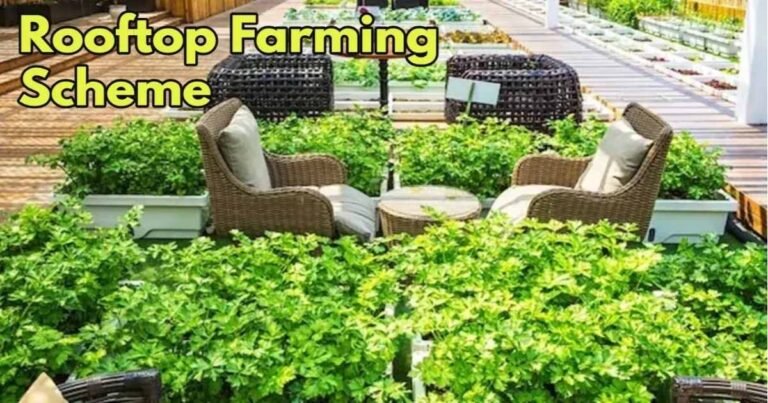 Bihar Rooftop Gardening Scheme 2025